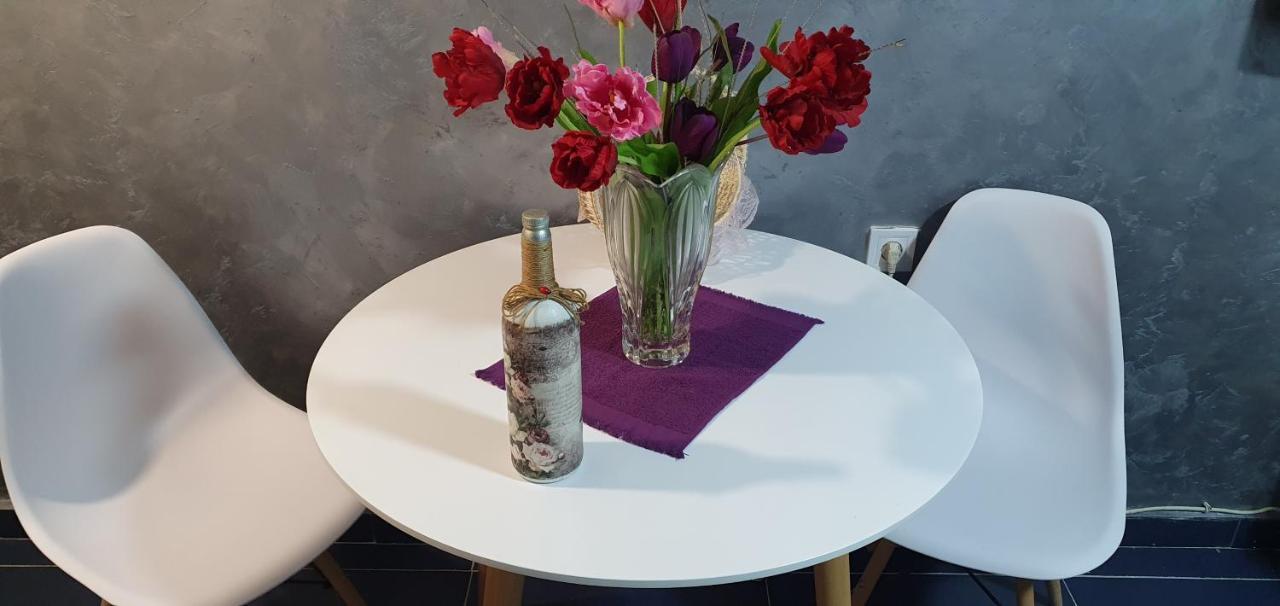 Cozzy Apartment Near The Aiport Podgorica 미트로비처 외부 사진